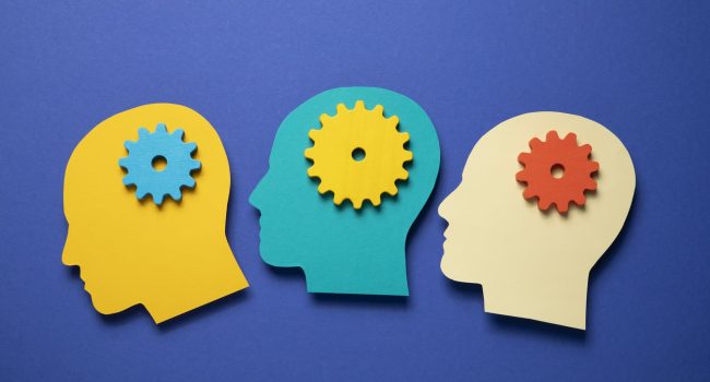 ADHD en autisme optie 2